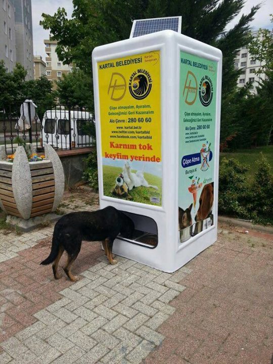 Istanbul distributore per cani