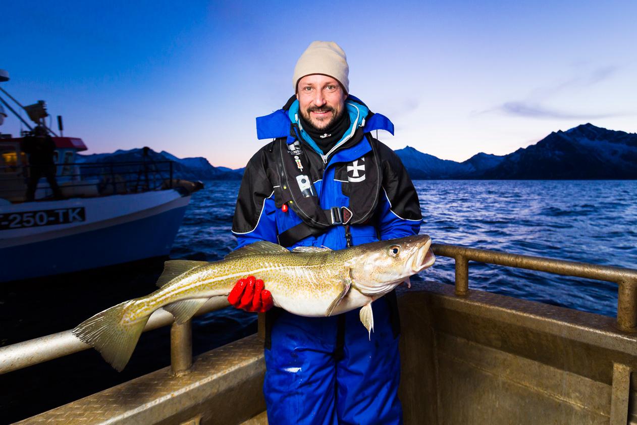 Треска морская купить. Норвежская треска скрей. Принц Норвегии Мариус фото. Морская рыбалка в Норвегии. Морская рыбалка в Северной Норвегии.