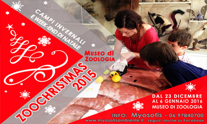 Natale-Museo-di-Zoologia-2015