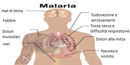 malaria in Italia