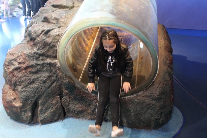 Barcellona Acquario giochi bambini