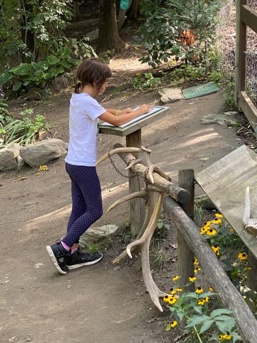 Parc Animalier d'Introd